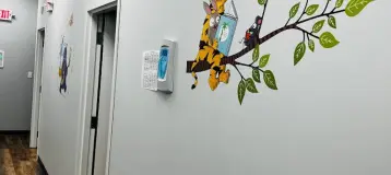 Little Smiles Dental