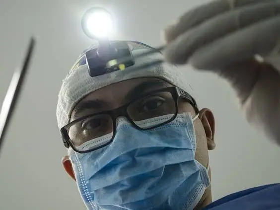 Burton J Stein, DMD