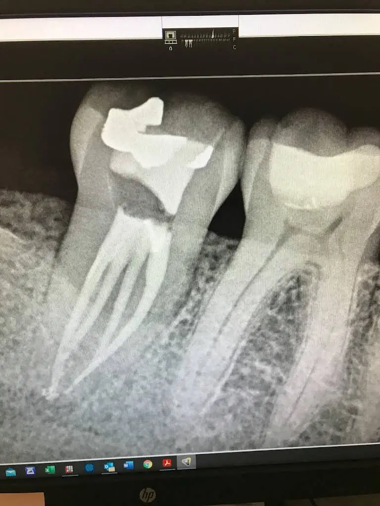 Blackstone Endodontics: Mariya Shnaydman, DMD, MDS