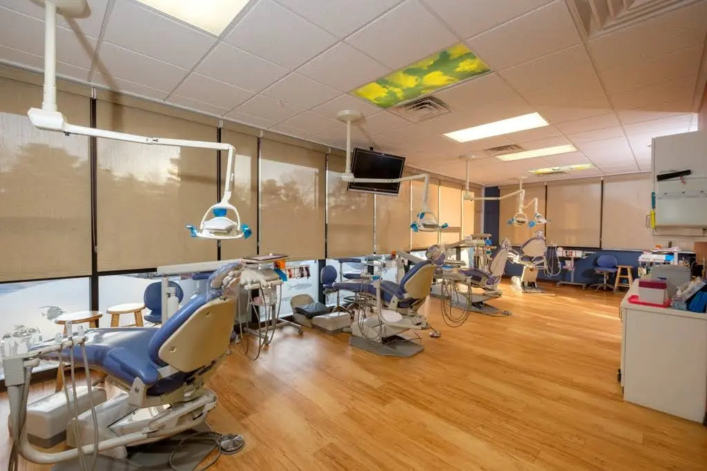 Chestnut Dental