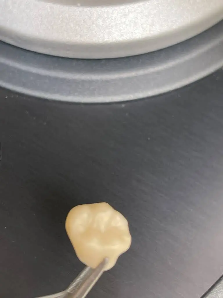Cedars Family Dental