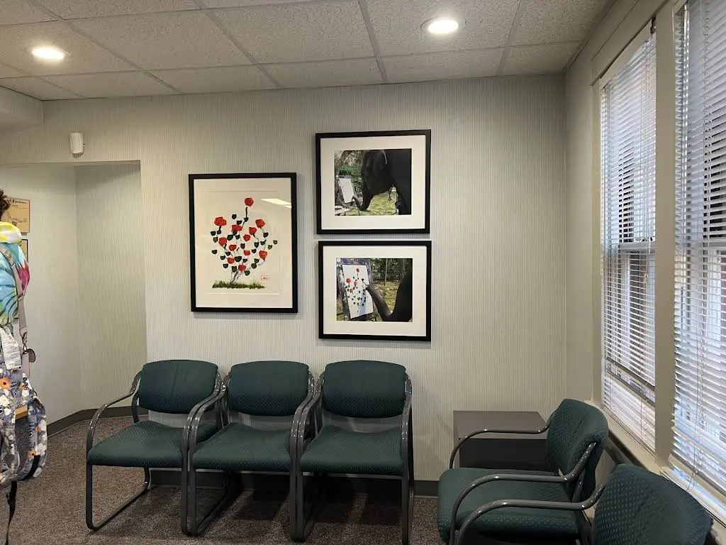 Pediatric Dentistry Limited