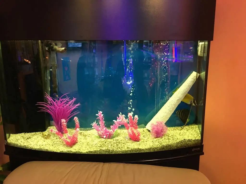 Atlantis Dental