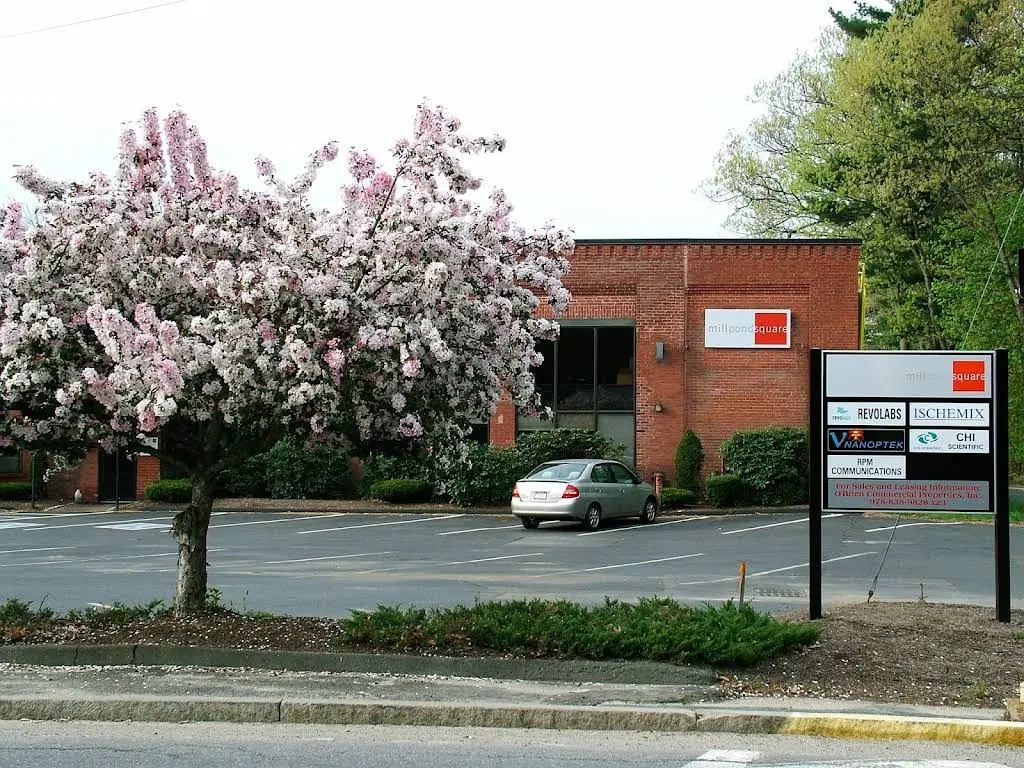 Venus Dental
