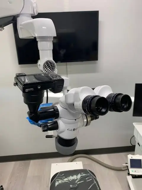 Rhode Island Endodontics