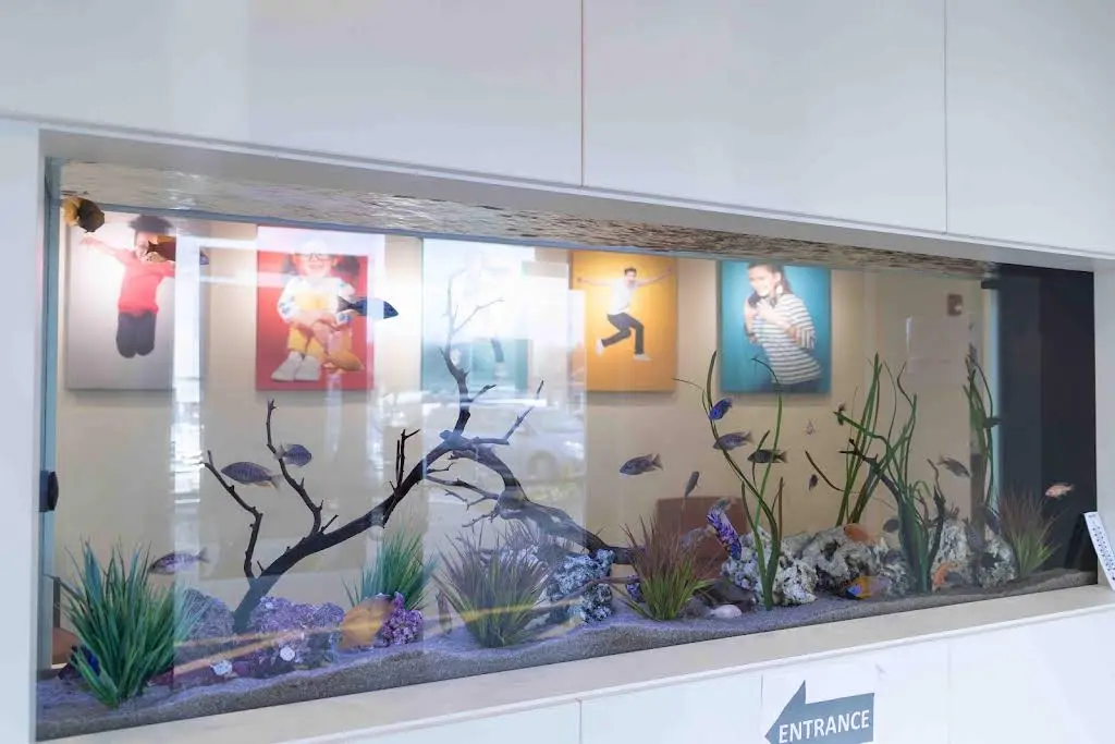 Pediatric Dentistry and Orthodontics of Sudbury