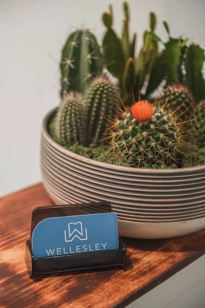 Wellesley Square Dental