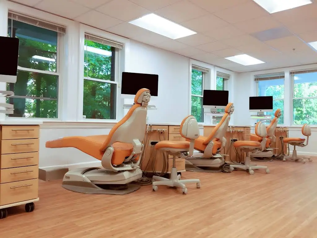 Heart Orthodontics - Dr. Yang Li