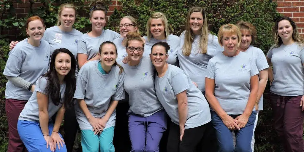 Chestnut Dental - Needham