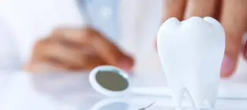 Whalom Dental