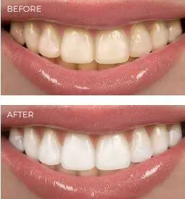 Weston Dental Group