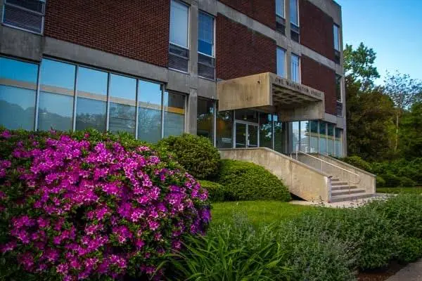 Limited To Endodontics - Professional dental clinic exterior with modern facilities