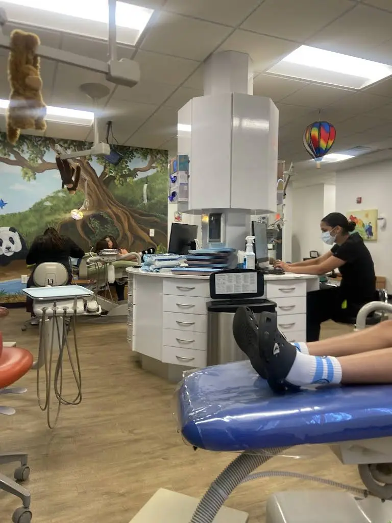 Everett - Chelsea Childrens Dental