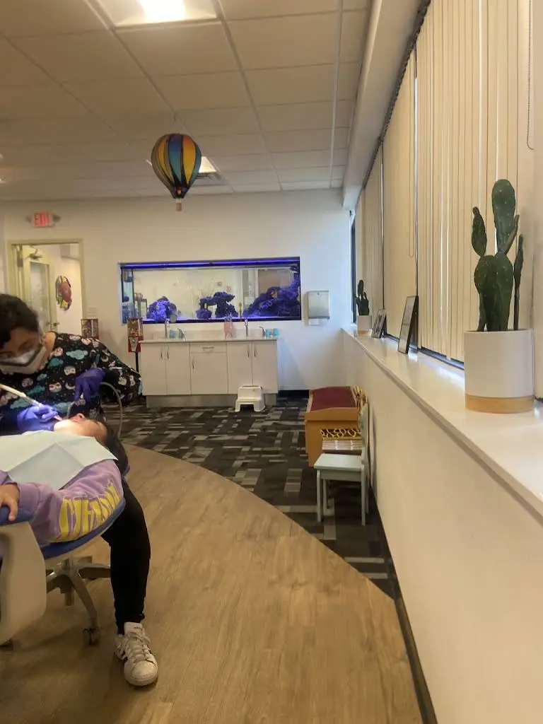 Everett - Chelsea Childrens Dental