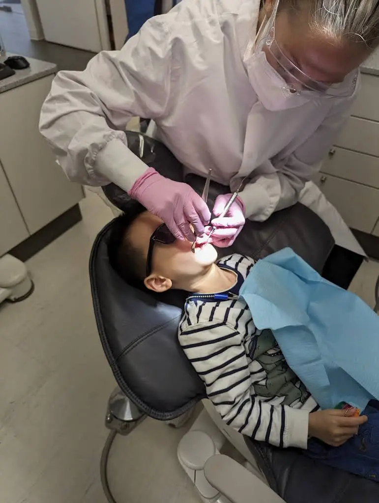 Seaport Dental Associates