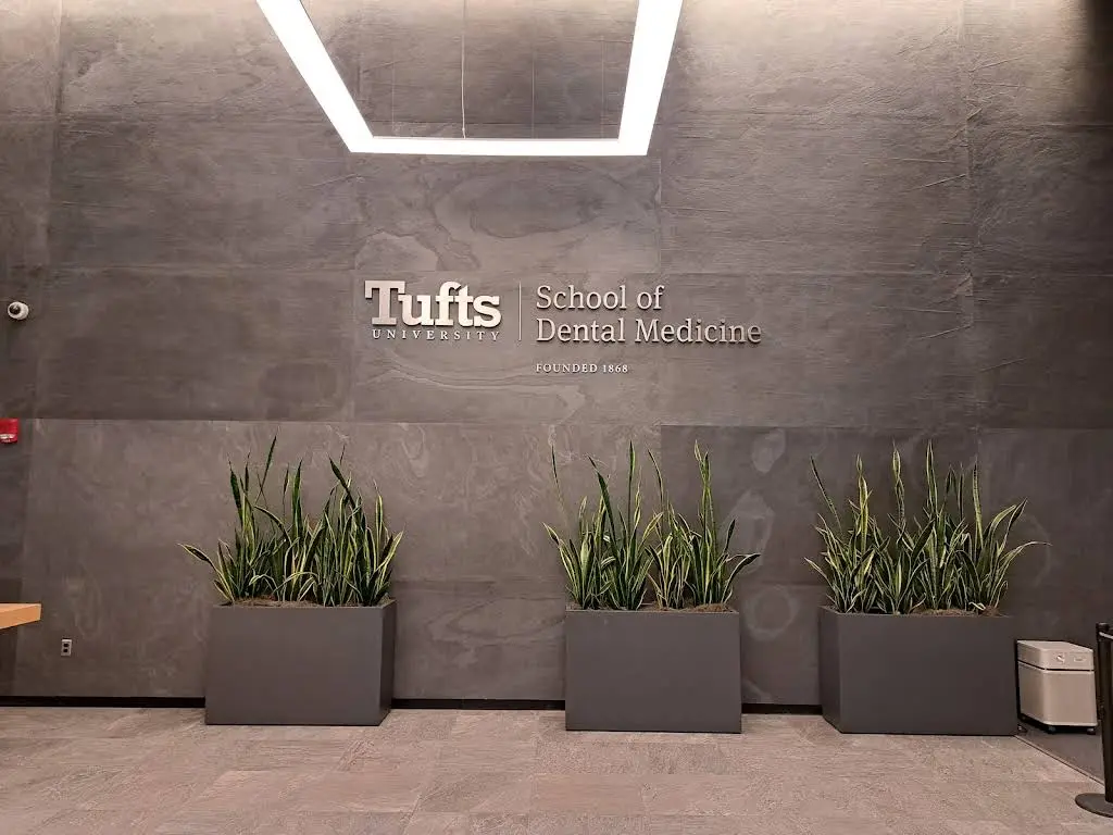 Tufts Dental Associates - Professional dental clinic exterior with modern facilities