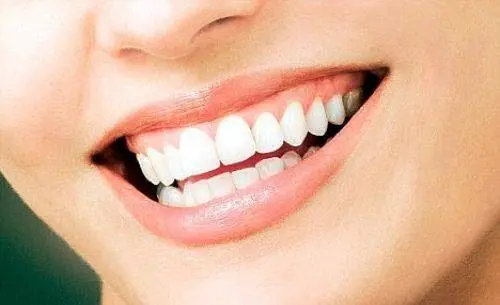 Fiorillo Dental