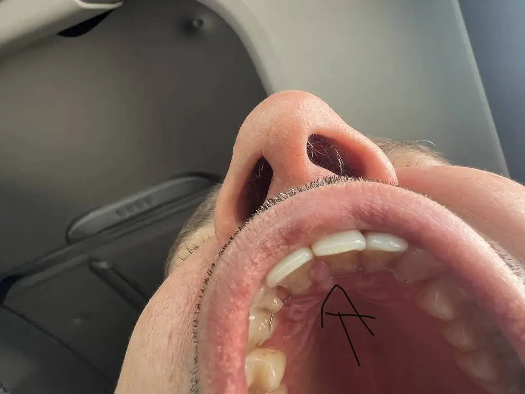 Lang's Dental Center