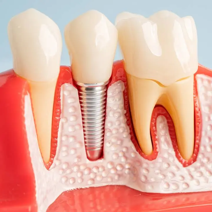 Back Bay Dental Associates