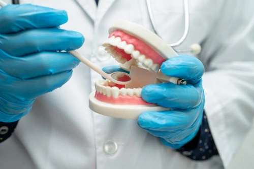 1800-DENTIST