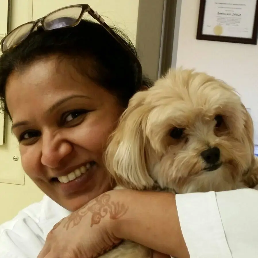 Dental Smiles of Nashua PLLC