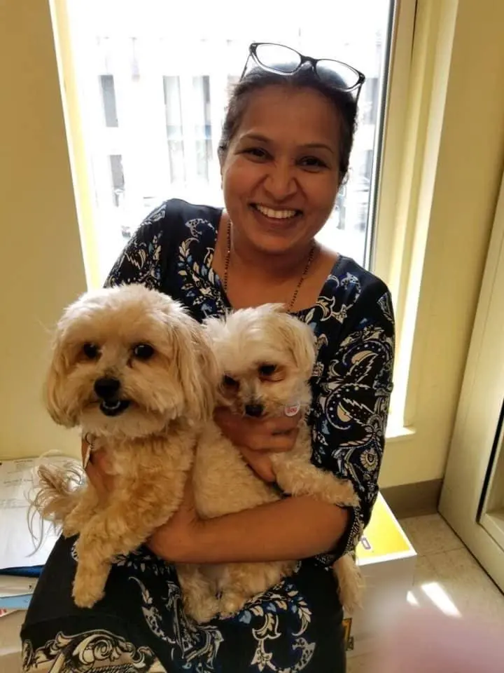 Dental Smiles of Nashua PLLC