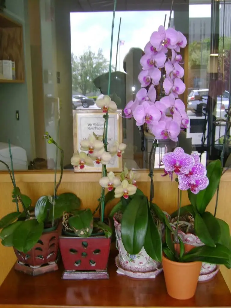 Cross Point Family Dental
