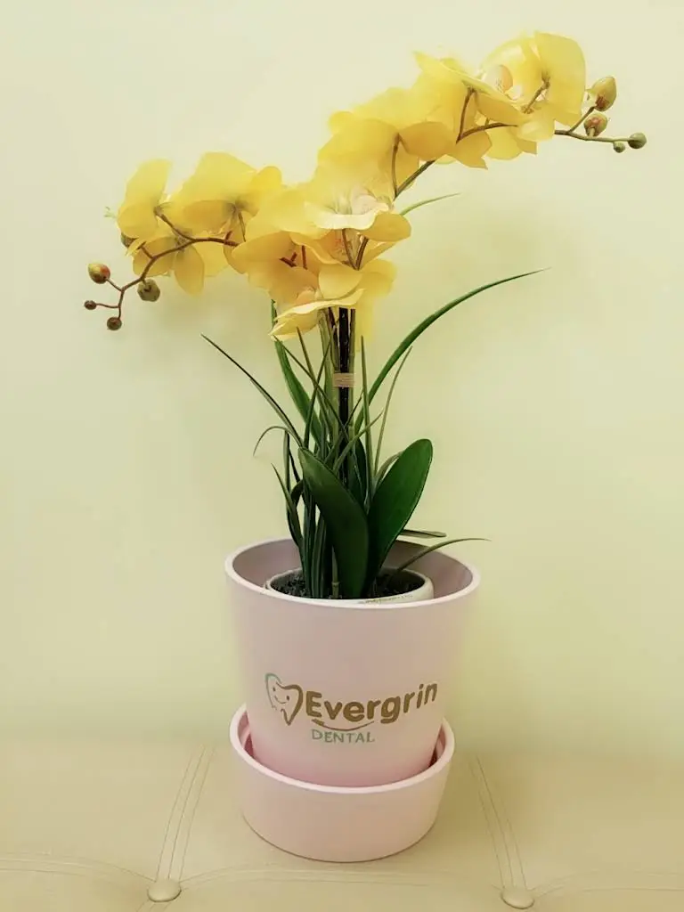 Evergrin Dental