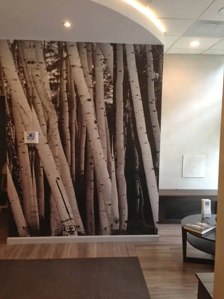 CITIDental South Boston