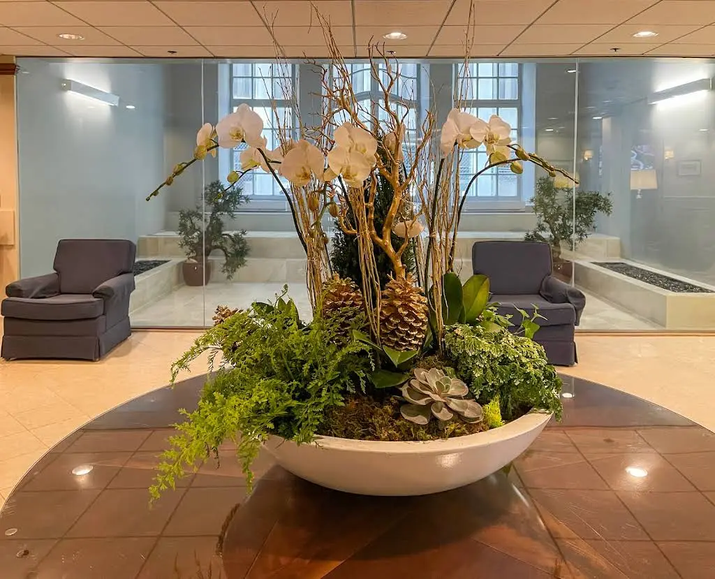 Boston Center for Oral Health