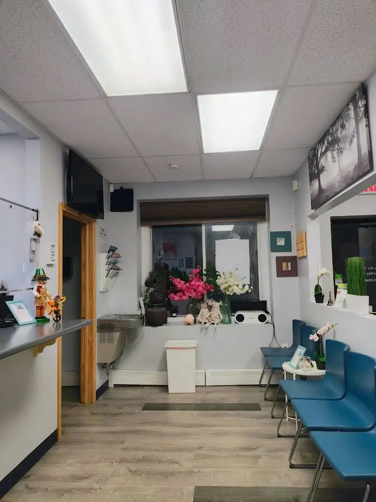 Great Smiles Dental