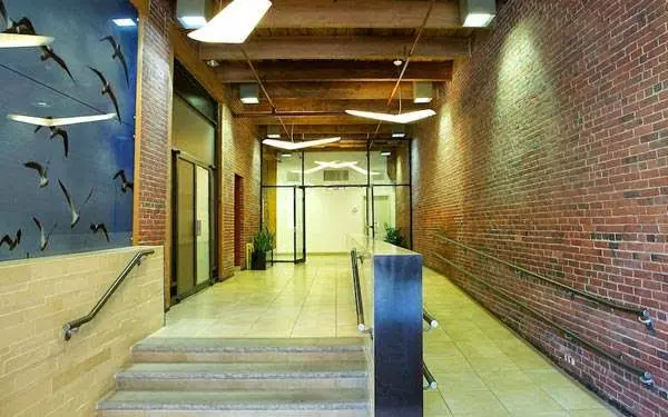 DENTOLOGY Implants TMJ Dentist - Professional dental clinic exterior with modern facilities