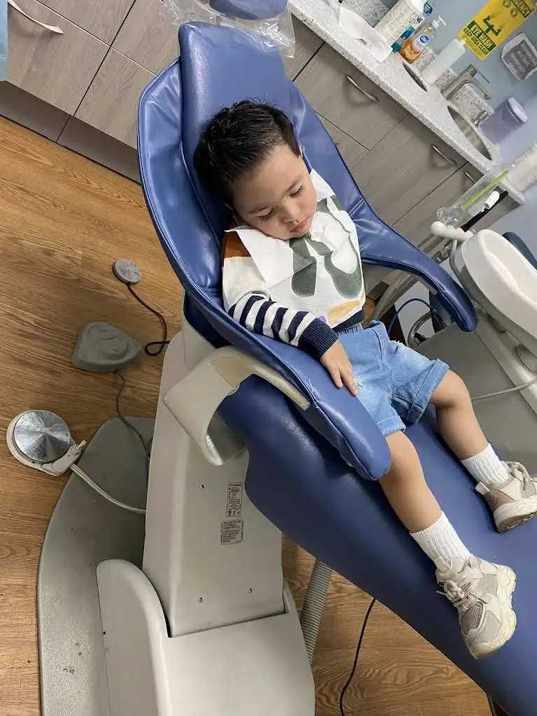 Dr. Dental