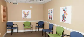 Simply Pediatric Dentistry & Orthodontics
