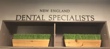 New England Dental Specialists