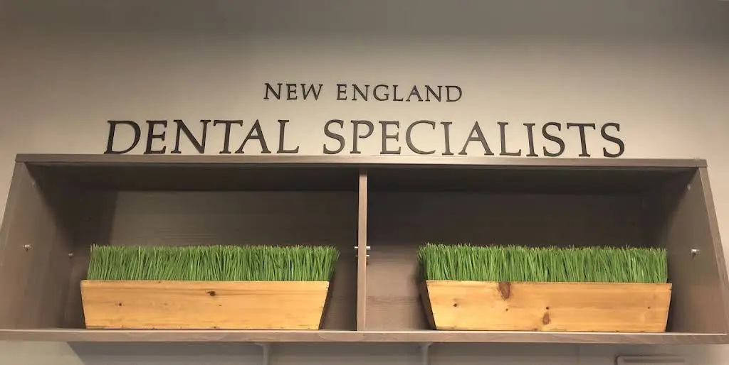 New England Dental Specialists - Professional dental clinic exterior with modern facilities