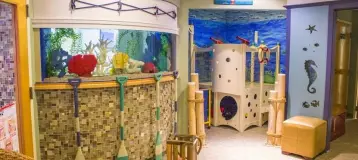 Duxbury Children's Dentistry