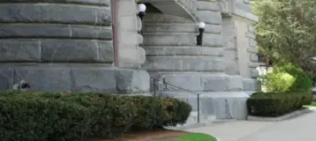 The Classic Smile