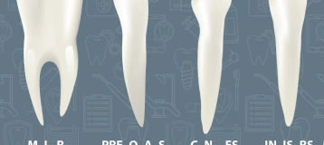 Affordable Dental