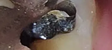 Coastal Dental