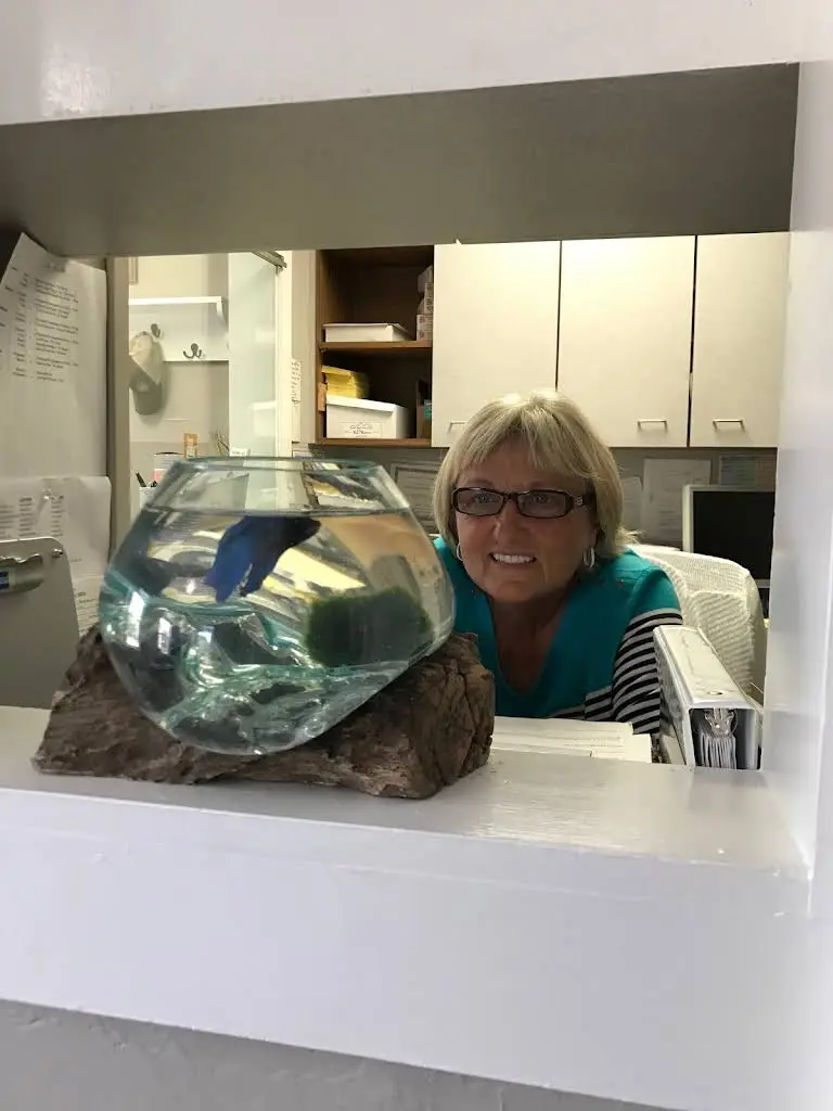 Boynton Family Dentistry Matthew T. Boynton D.M.D., P.C.