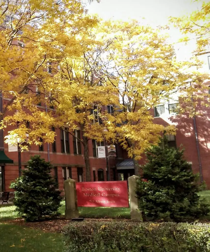 Boston University Henry M. Goldman School of Dental Medicine
