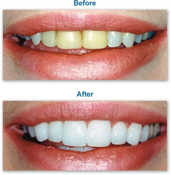 Wakefield Family Dentist
