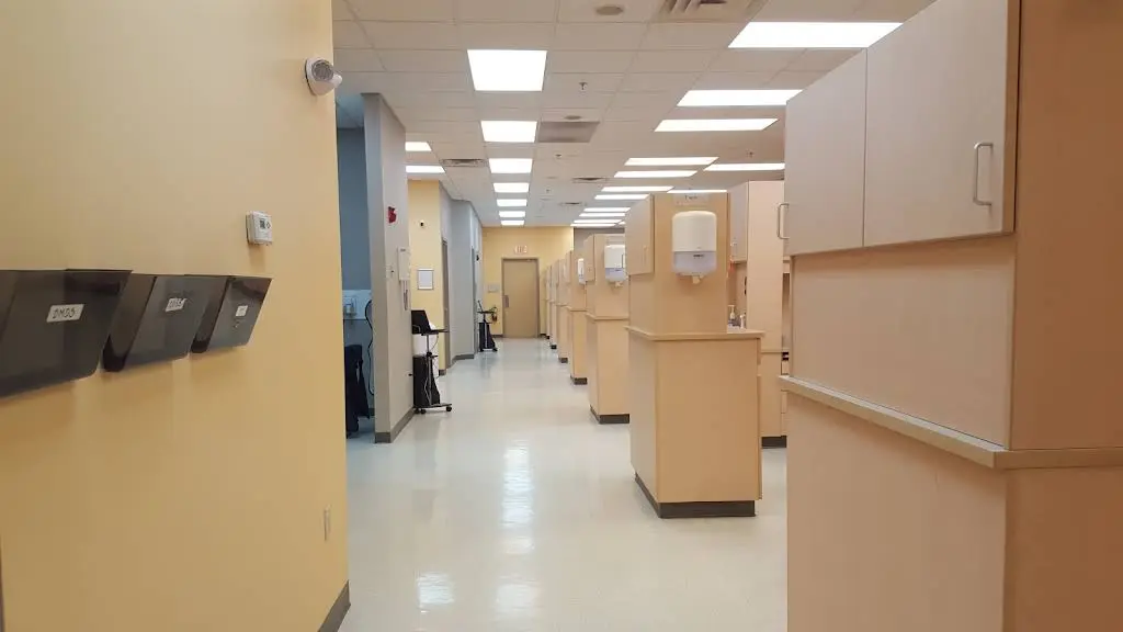 Oasis Dental