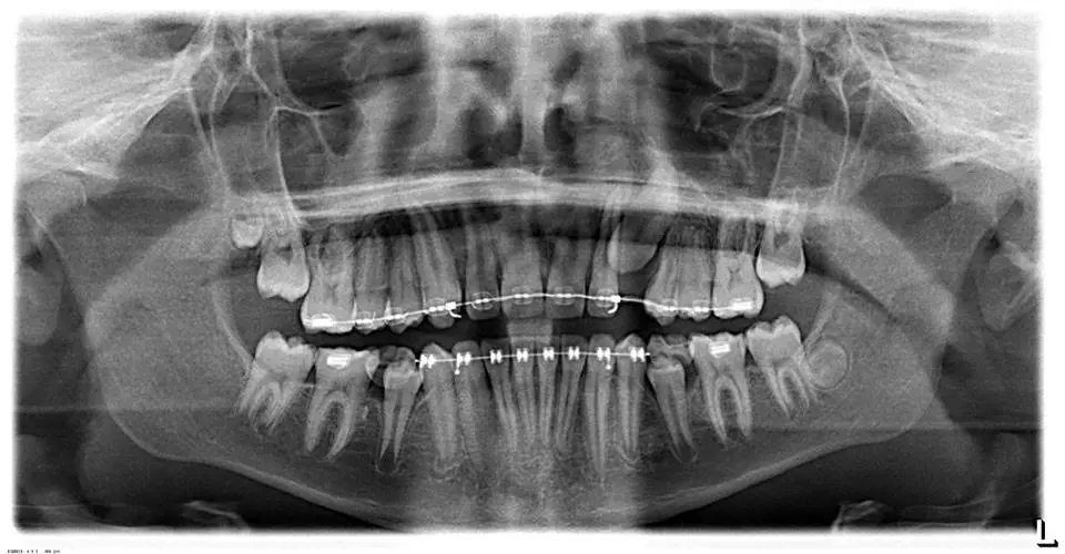 Dental Surgeons of Dartmouth
