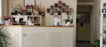 Ace Dental Associates
