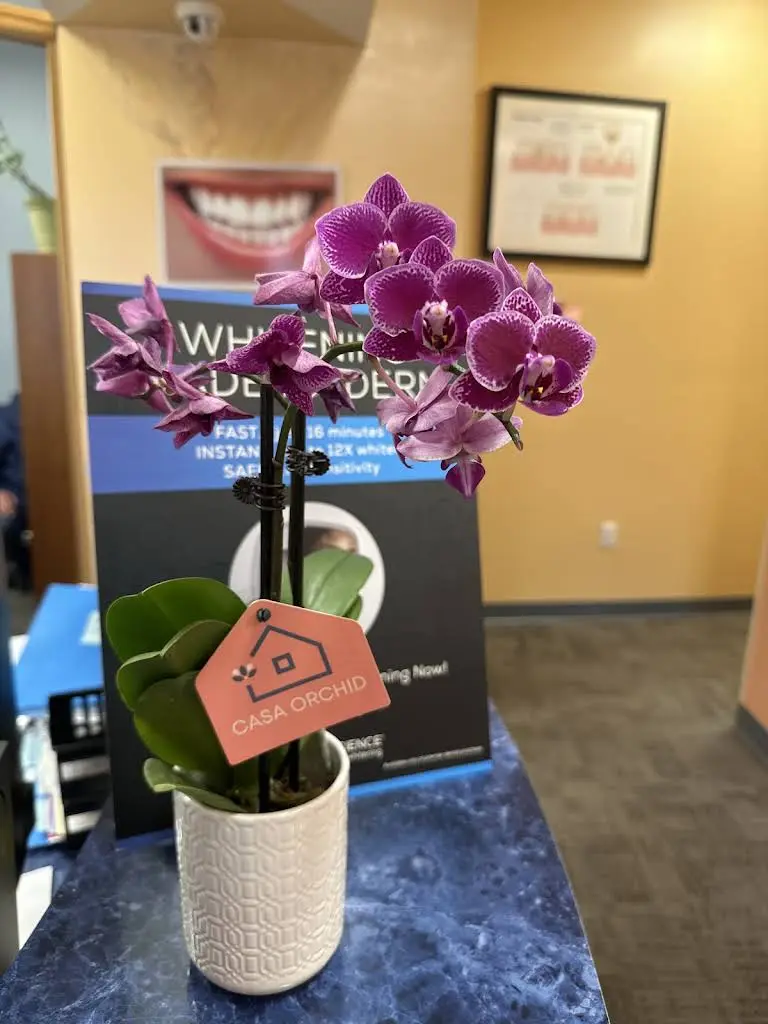 Alegre Dental