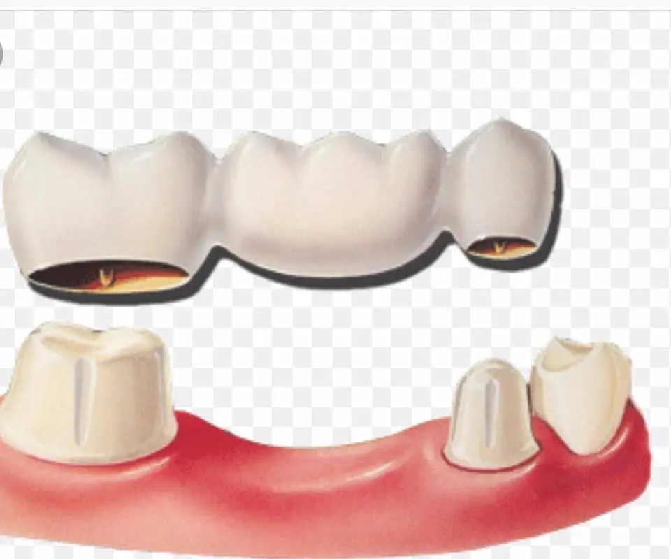 Diane Bonanni, D.M.D. - Stoneham Family and Cosmetic Dentistry