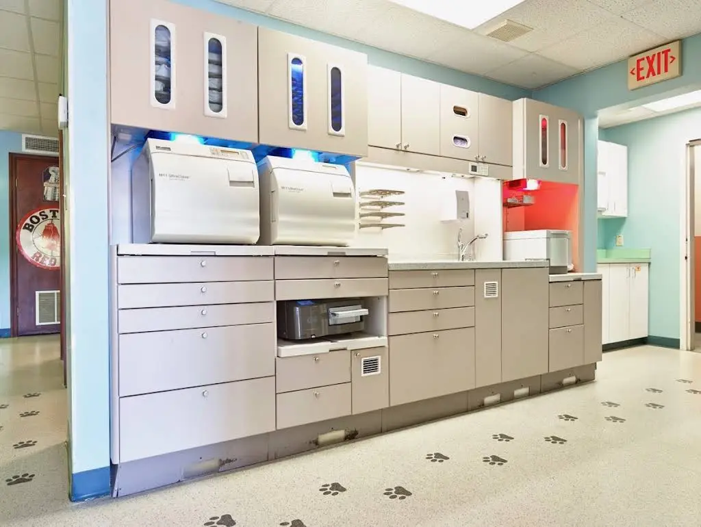 Dr. Mickey’s Pediatric & Orthodontic Specialists