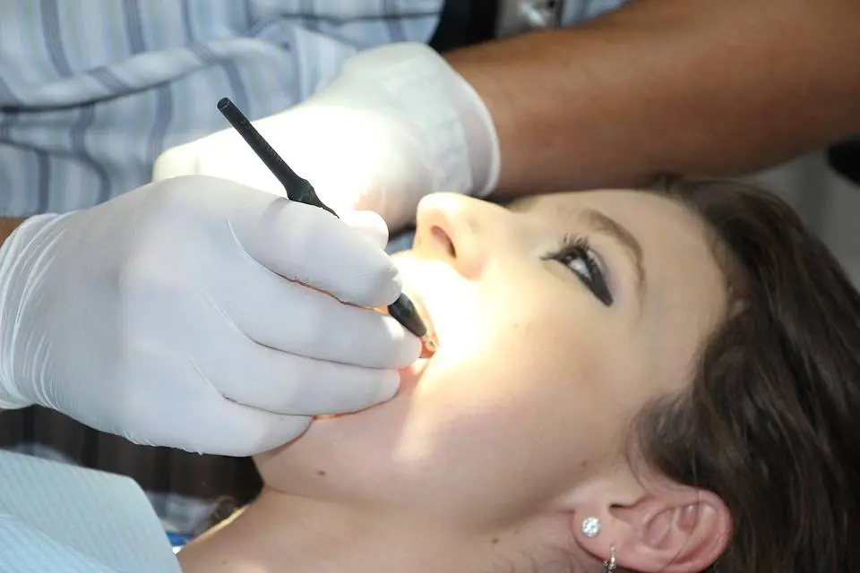New England Endodontic Solutions